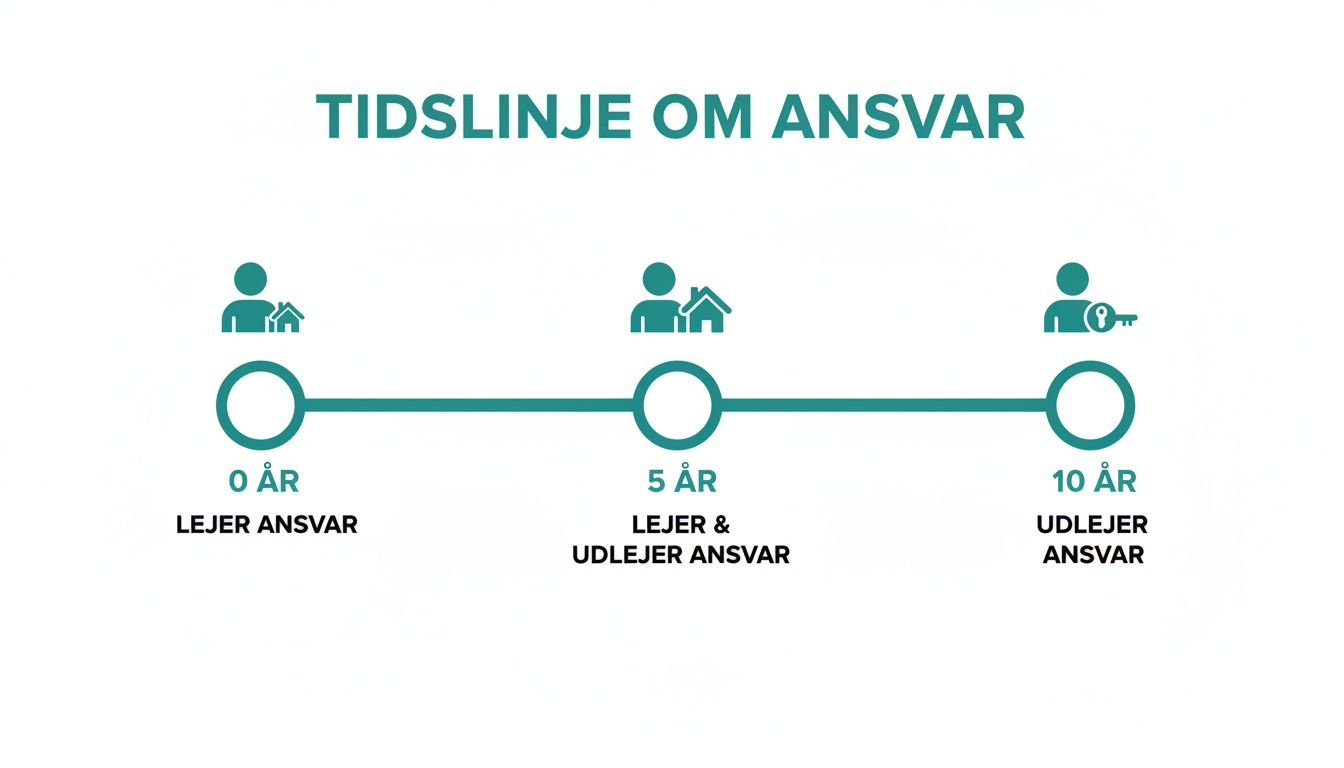Tidslinje, der illustrerer ansvarsfordeling mellem lejer og udlejer over 0, 5 og 10 år.